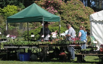 Clan Donald Market - Abriachan Nurseries